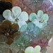 Fiore o rosetta, pezzo di ricambio per lampadari di Venini e non o per specchi con pezzi rotti o danneggiati, in vetro soffiato
