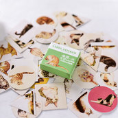 Stickers, adesivi decorativi