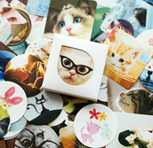 Stickers, adesivi decorativi