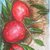 Dipinto acquerello titolo :mele