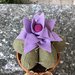 Vaso di terracotta con cactus di feltro , fiore viola di feltro