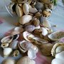 20 CONCHIGLIE VARIE FORME - VINTAGE - ARREDAMENTO CASA - HOBBY CREATIVI