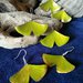 foglie di Ginkgo, orecchini fatti a mano in alluminio 