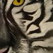 Tigre Bianca quadro dipinto a olio su tela