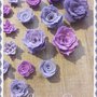 Mix rose viola/lilla