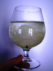 Bicchiere con fiore e cera liquida