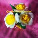 Piantina di rose , segnaposto, bomboniera, pianta, fatta a mano, fiori, matrimonio, anniversario