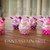 Bomboniere CupCake Portafoto Violetto Fucsia Rosa