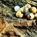 Orecchini civetta pietra stoffa - orecchini gufo diaspro - orecchini pietre naturali - gioielli frida - gioielli boho - orecchini a mano