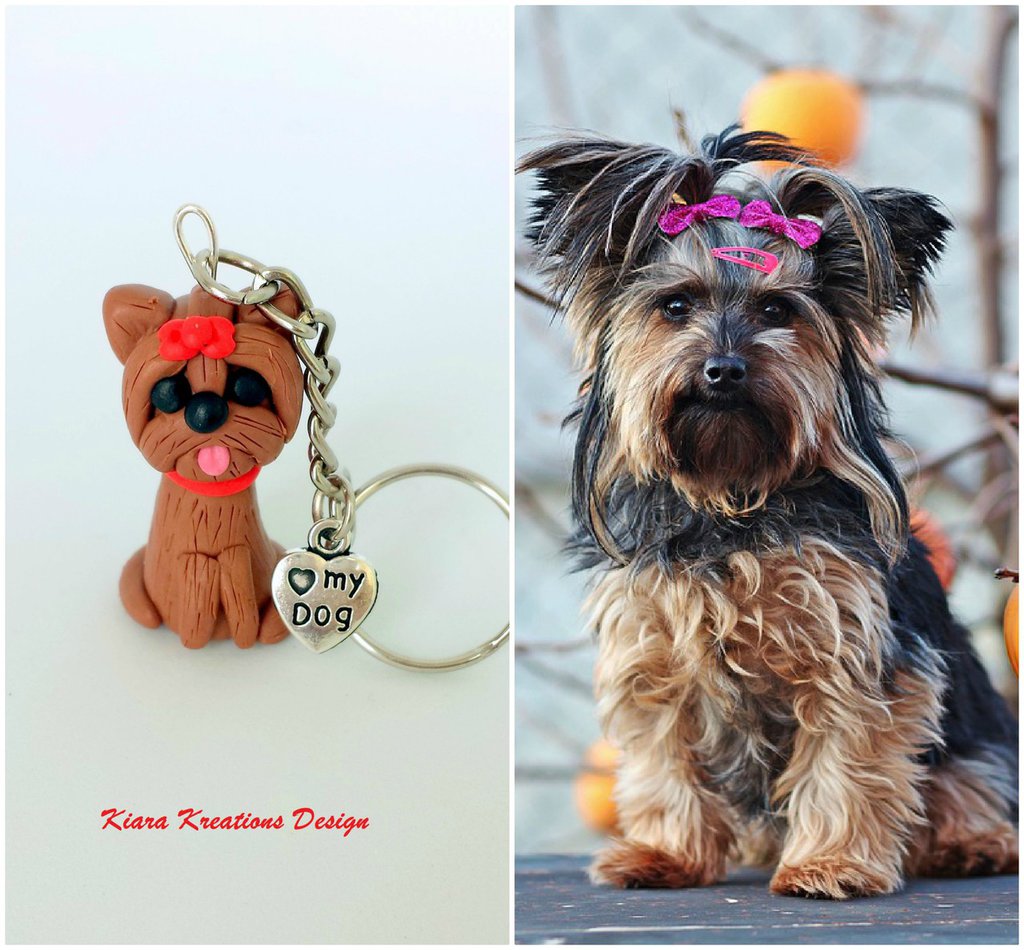 Disegno dello yorkshire terrier Foto e Immagini Stock in Bianco e Nero