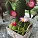 Composizione di cactus di feltro in cestino di vimini quadrato