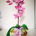 Pianta di orchidea in gomma crepla