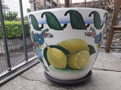 vaso in terracotta decorato limoni
