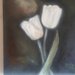 Tulipani bianchi su fondo scuro