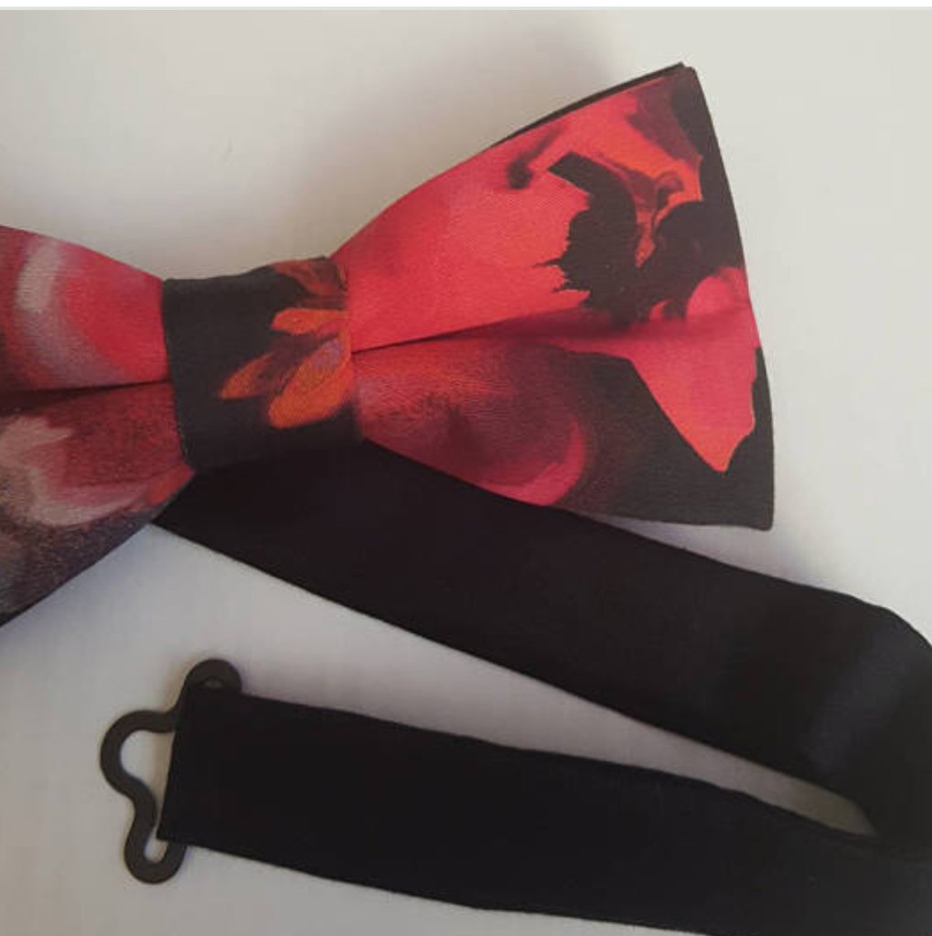 Papillon per cani - Rosso - UOMO | H&M IT