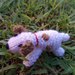 Jack Russel Terrier realizzato in pura lana vergine e imbottitura in kapok