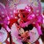 Scatola porta gadget Minnie regalini porta dolcetti festa battesimo comunione cresima compleanno