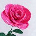 Rosa rosa special