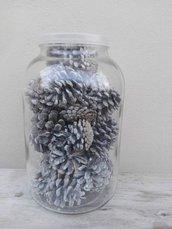 30 Pigne bianche colorate nel barattolo di vetro (4 litri di volume)