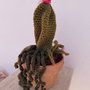 Amigurumi Cactus Pianta Grassa realizzata a mano con vaso in terracotta 