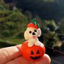 Decorazione per Halloween cane bolognese nella zucca, miniatura bolognese per regalo per amante dei cani