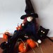 Halloween strega, gatto e zucche