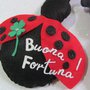 COCCINELLA PORTAFORTUNA in feltro Decorazioni casa Fuori porta Idee regalo personalizzate 