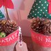 Vasetti natalizi con albero di Natale e stelle di Natale 2 pezzi