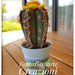 Cactus in Feltro realizzato a mano