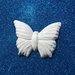 Farfalla grande gesso ceramico per il fai da te