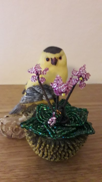 CICLAMINO CON UCCELLINO CICLAMINO CON UCCELLINO
