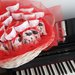 Bomboniere Laurea, Sacchetti porta confetti ricamati per laurea in musica 