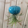 Riccio di mare in ceramica - Riccio di mare fatto a mano per piante grasse o tillantsia - Fioriera Vaso - Regalo originale