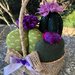Cestino di vimini con composizione di cactus con fiori lilla e viola