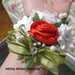                                    Corsage / bracciale con rose per sposa o damigelle