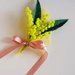 Idea regalo Mimosa festa della donna