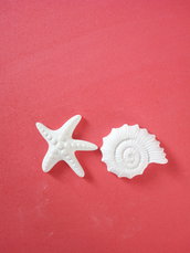 Gessetto stella marina in polvere ceramica