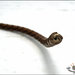 Cordoncino tubolare, cuoio intrecciato marrone, diametro 5 mm. 100 cm.