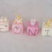 Cake topper cubi con orsetti in scala di rosa 6 lettere 6 cubi 