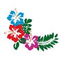 Fiori Hawaiani embroidery design, ricamo digitale. INSTANT DOWNLOAD zip + pdf