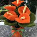 Vaso di terracotta con fiori arancioni 