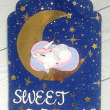 Targhetta dolci sogni con unicorno 