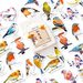 Stickers piccoli uccellini