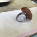 anello in legno