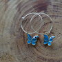 orecchini farfalla azzurri