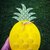 Scatola a forma di ananas da assemblare
