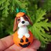 Decorazione per Halloween cane cavalier king charles nella zucca, miniatura cane regalo per amante dei cani, regalo halloween cane