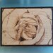 Quadretto con pirografia fatta a mano con un primo piano di una rosa