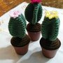 Piantine grasse e cactus amigurumi 