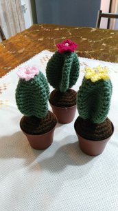 Piantine grasse e cactus amigurumi 